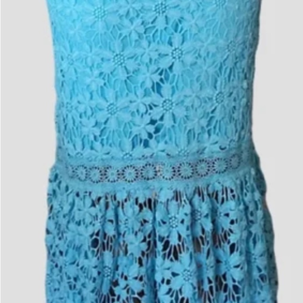 Alexia Admor Blue Lace Floral Dress - Picture 3 of 6